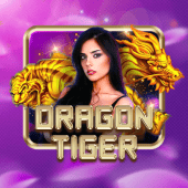 Dragon Tiger live casino cover